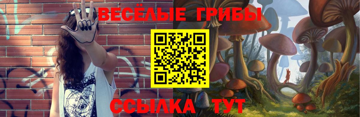 Псилоцибиновые грибы MAGIC MUSHROOMS  Псилоцибиновые грибы мухоморы  Вход с VPN  Ярославль 