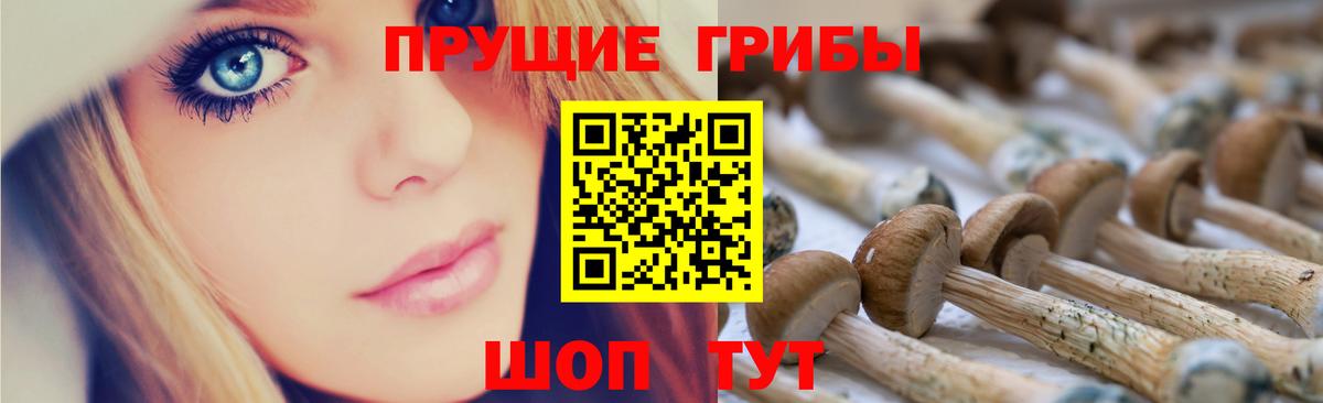 Псилоцибиновые грибы мухоморы Ярославль